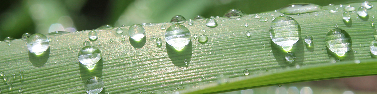 Contact Marketabilities