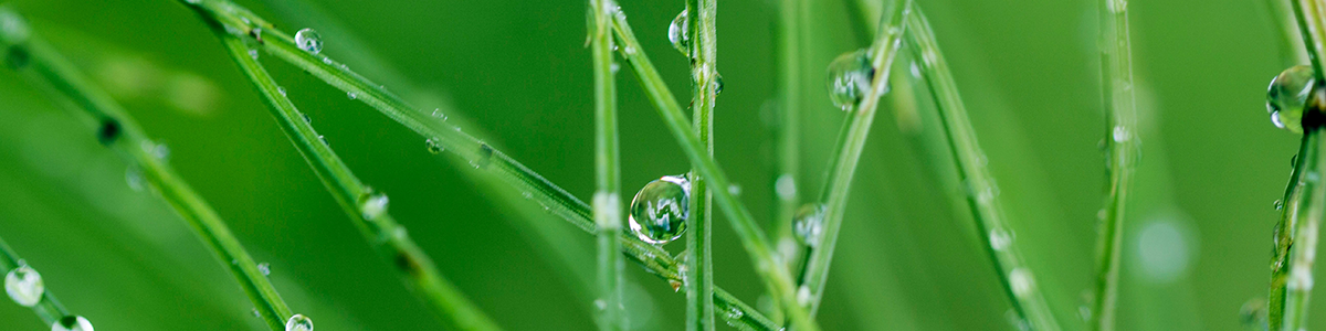 What our customers say